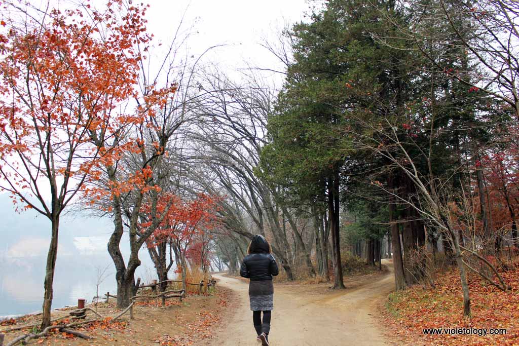 nami island south korea