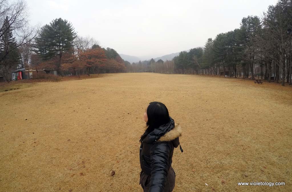 nami island south korea