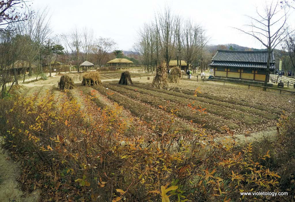 Korean Folk Village