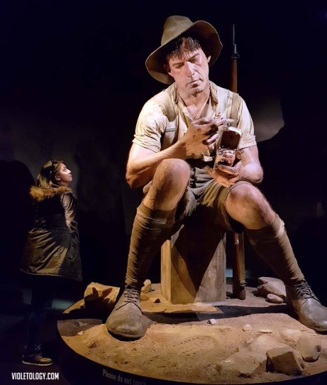 gallipoli museum of new zealand te papa