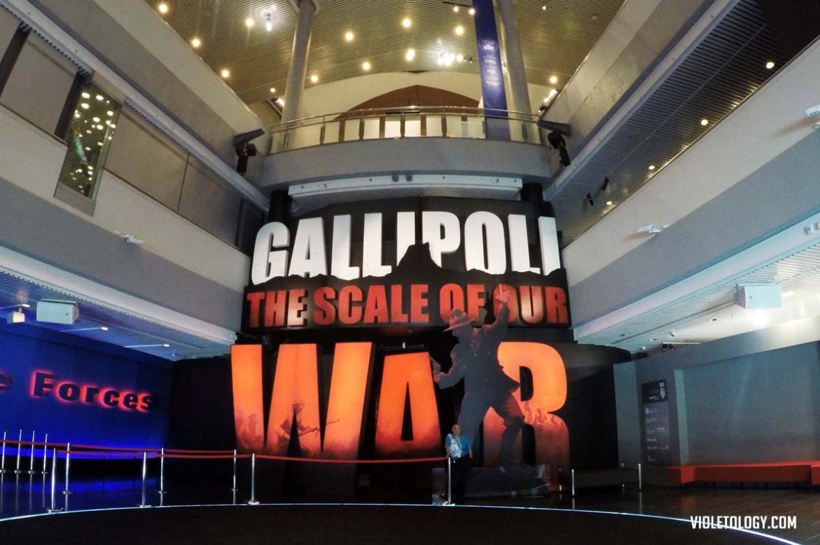 gallipoli museum of new zealand te papa