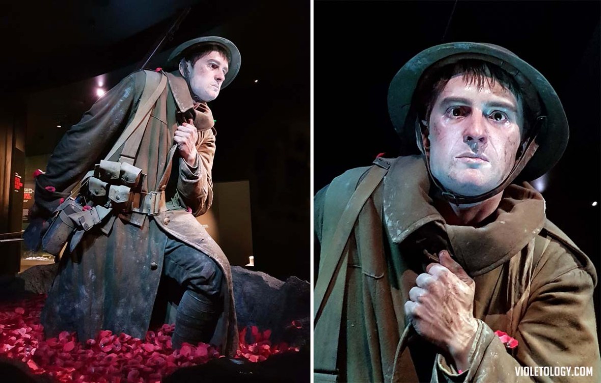 gallipoli museum of new zealand te papa