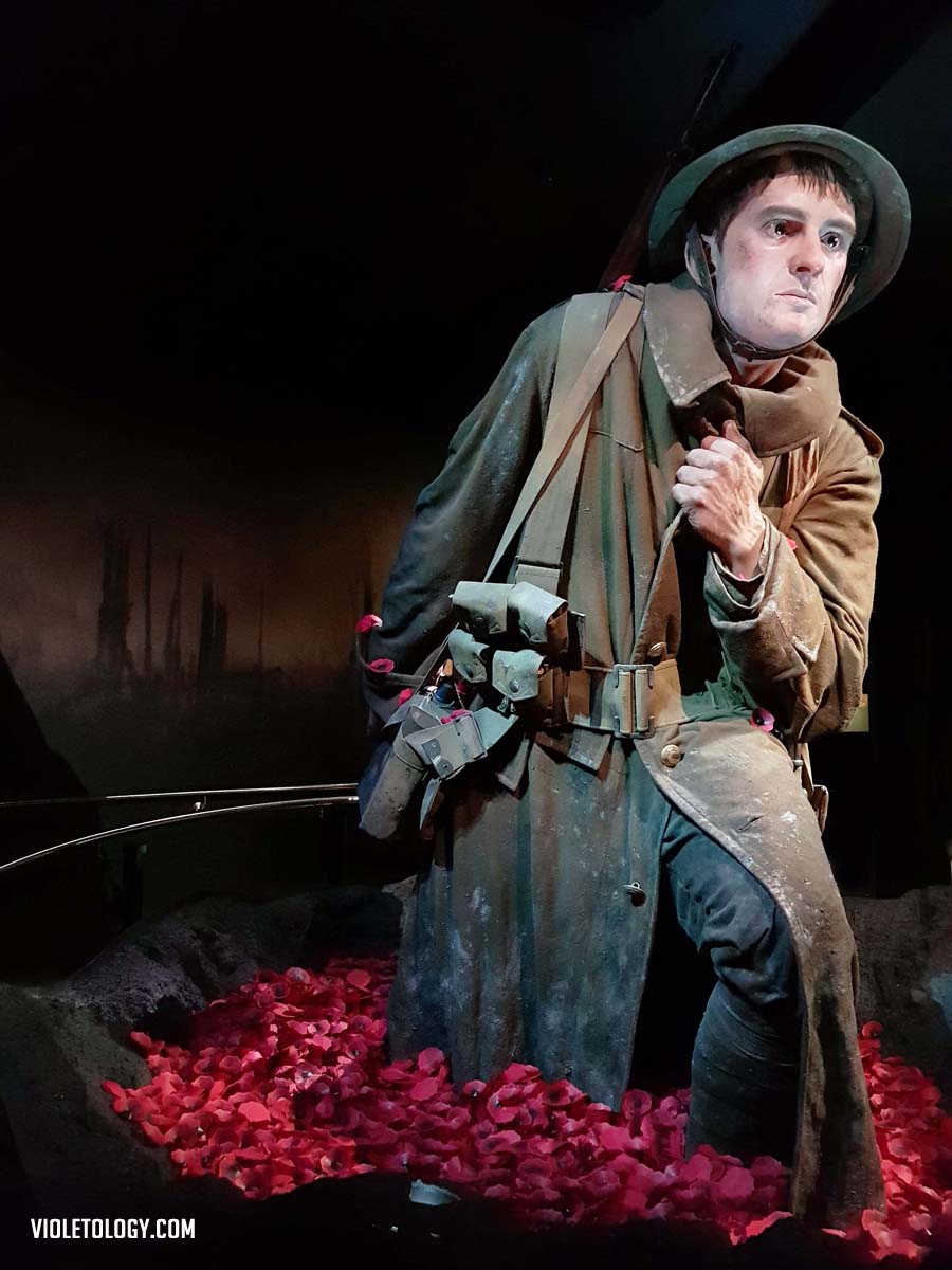 gallipoli museum of new zealand te papa