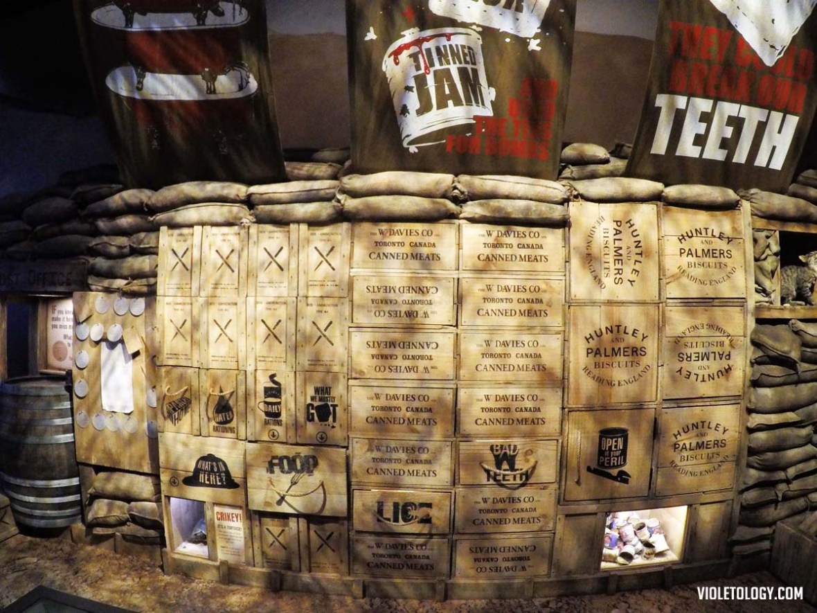 gallipoli museum of new zealand te papa