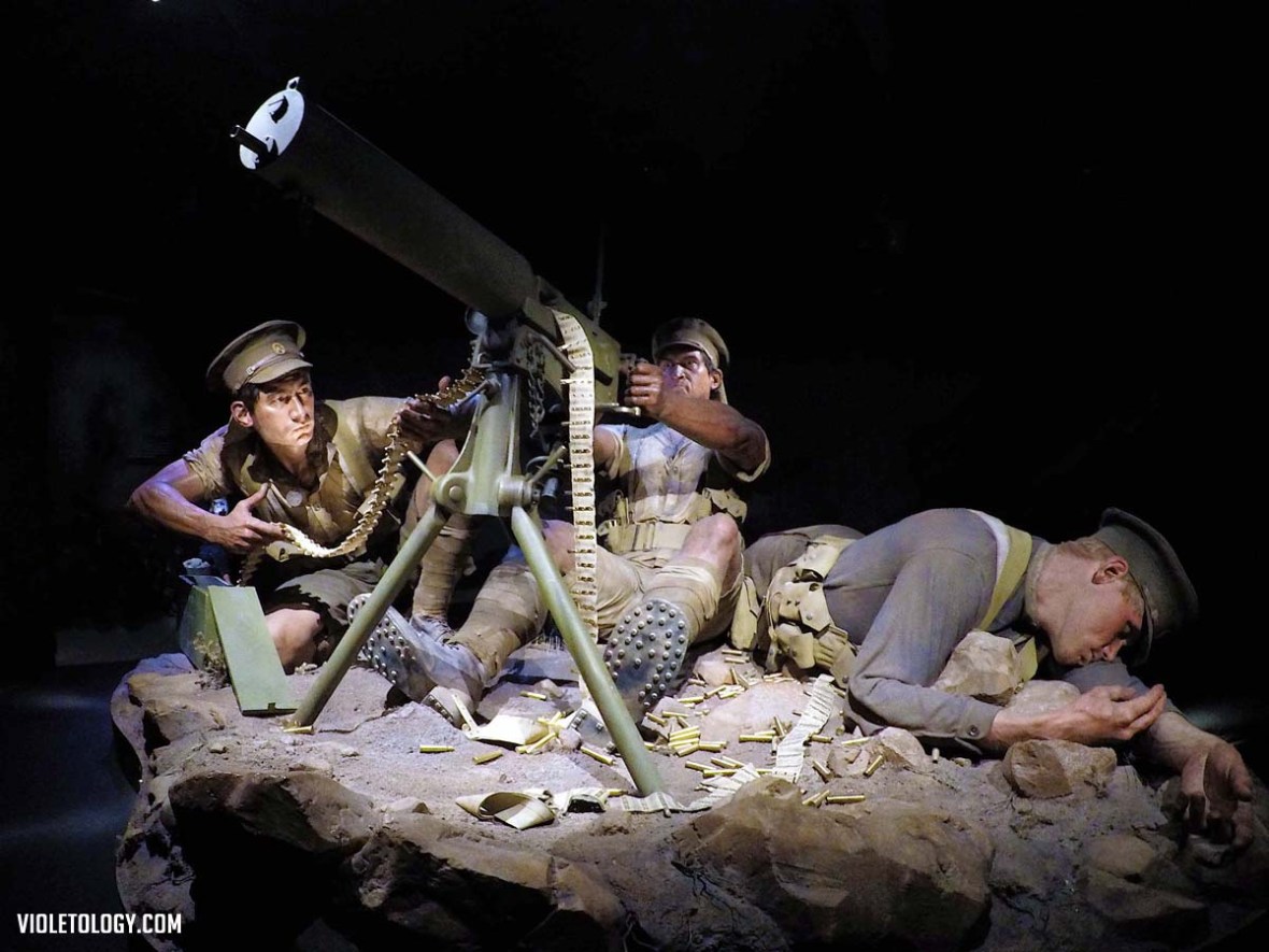 gallipoli museum of new zealand te papa