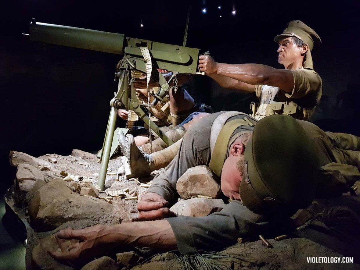 gallipoli museum of new zealand te papa