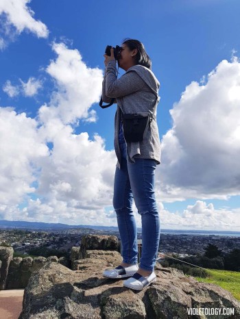 one tree hill auckland new zealand