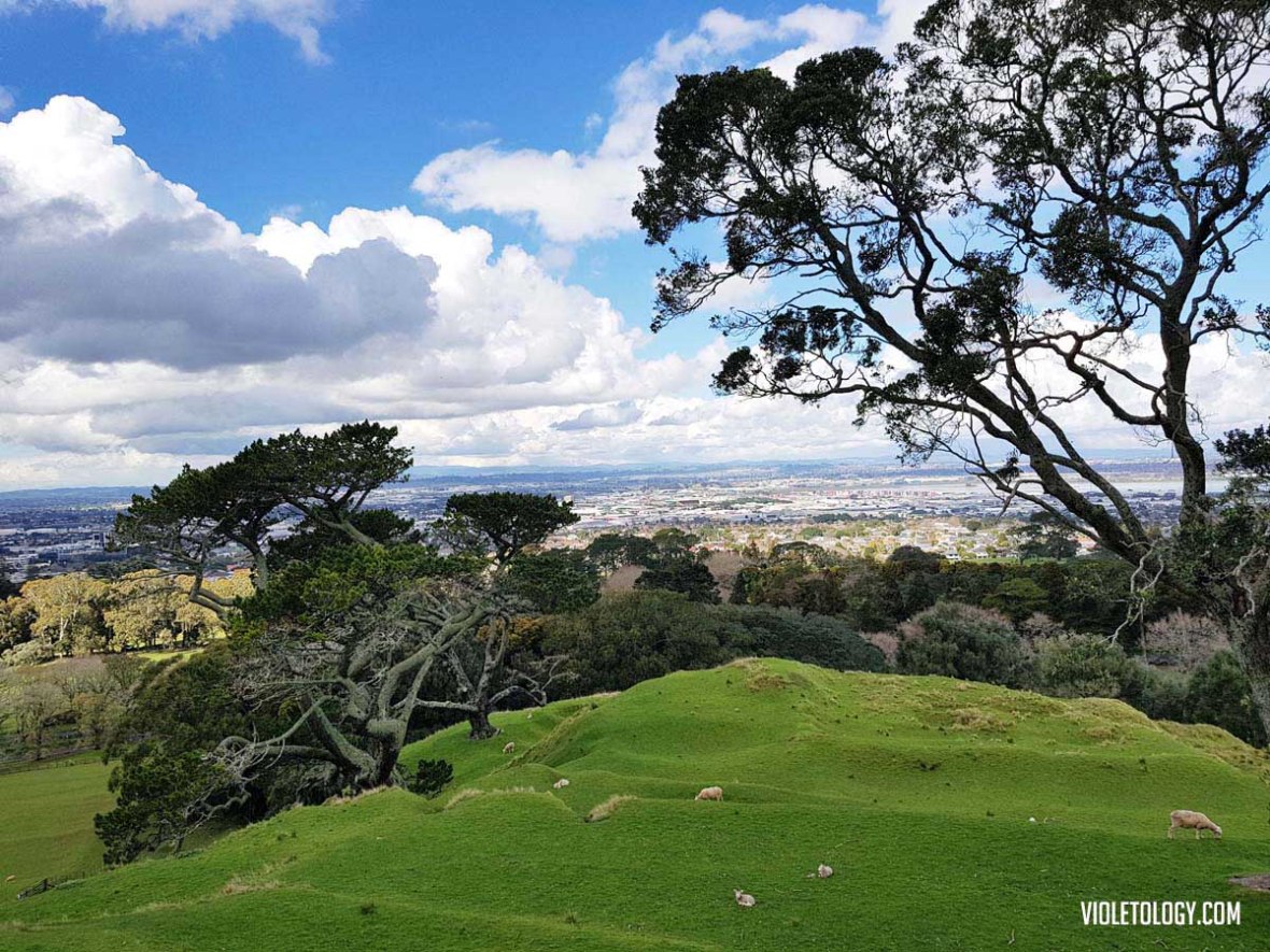 one tree hill auckland new zealand