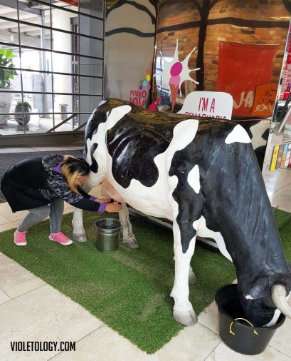 one tree hill auckland new zealand