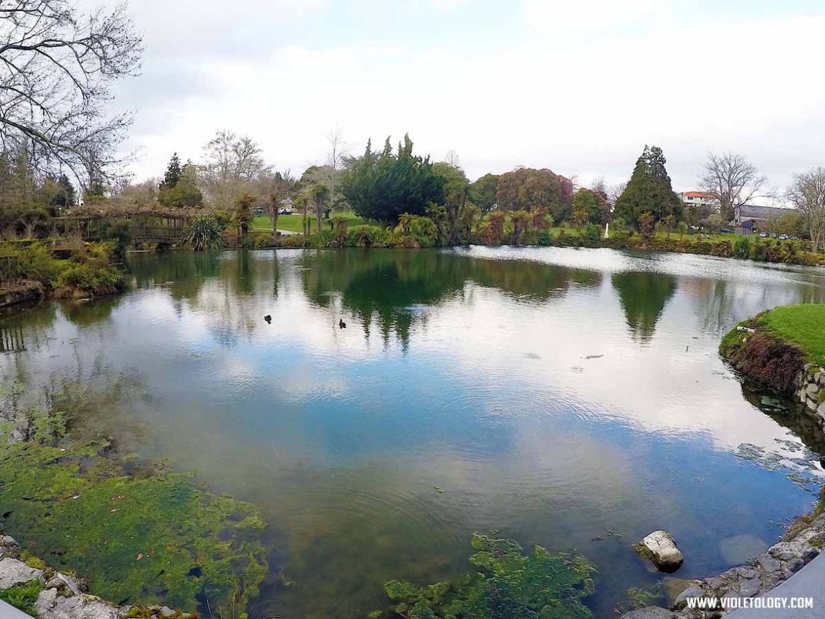 rotorua kuirau park foot spa