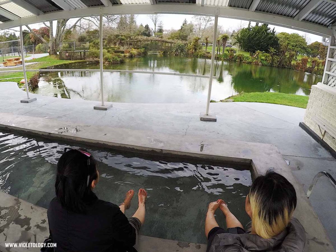 rotorua kuirau park foot spa