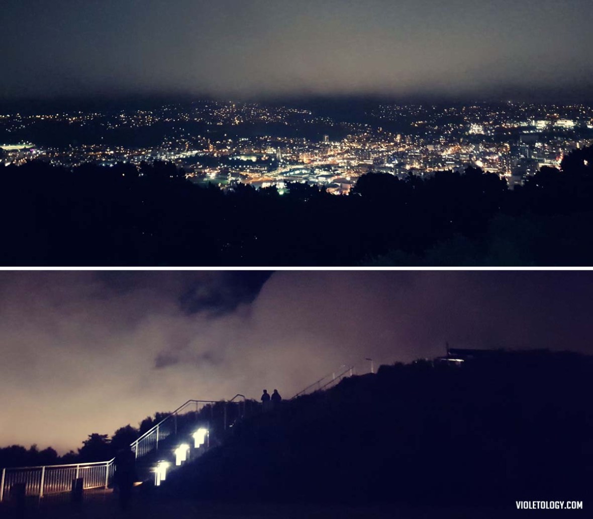 mount victoria wellington