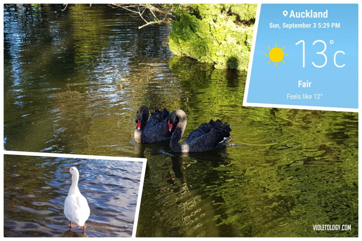 Western Springs Lakeside ParkWestern Springs Lakeside Park