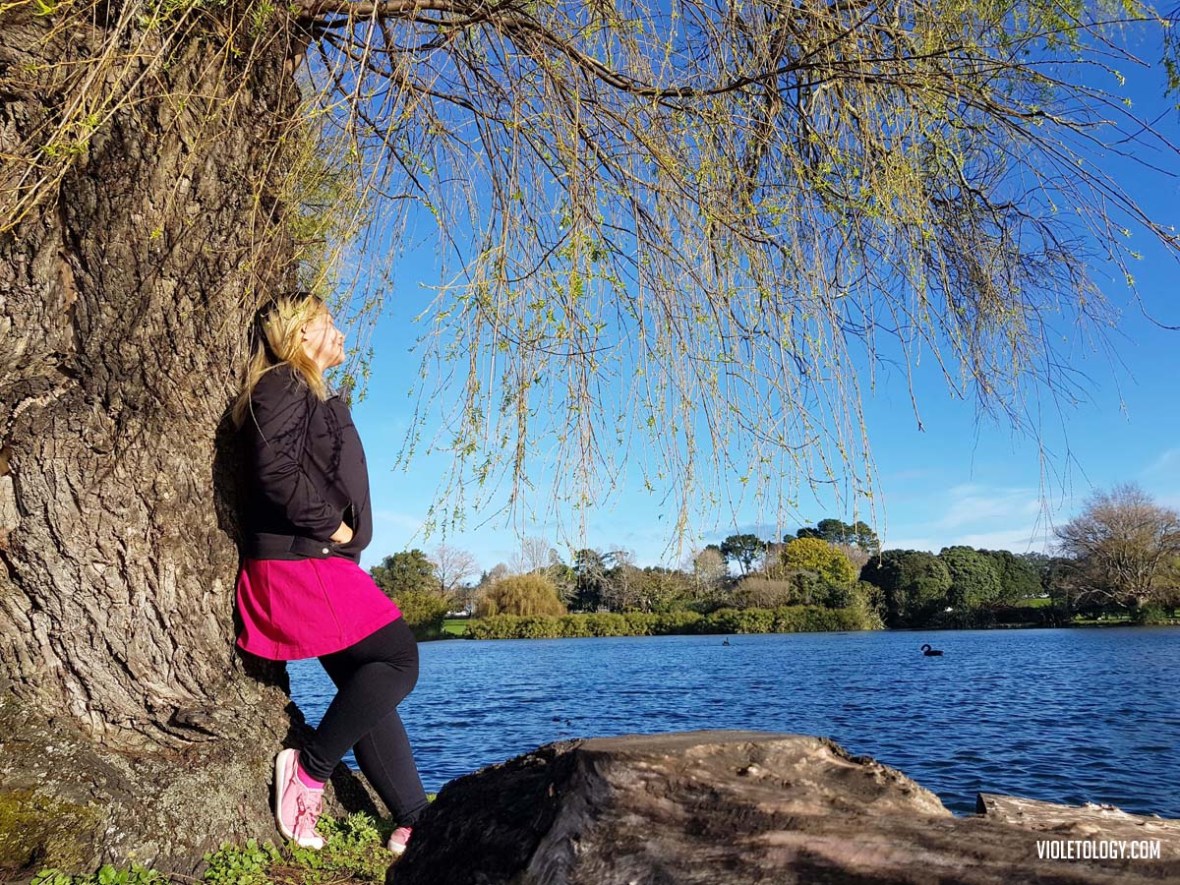 Western Springs Lakeside Park