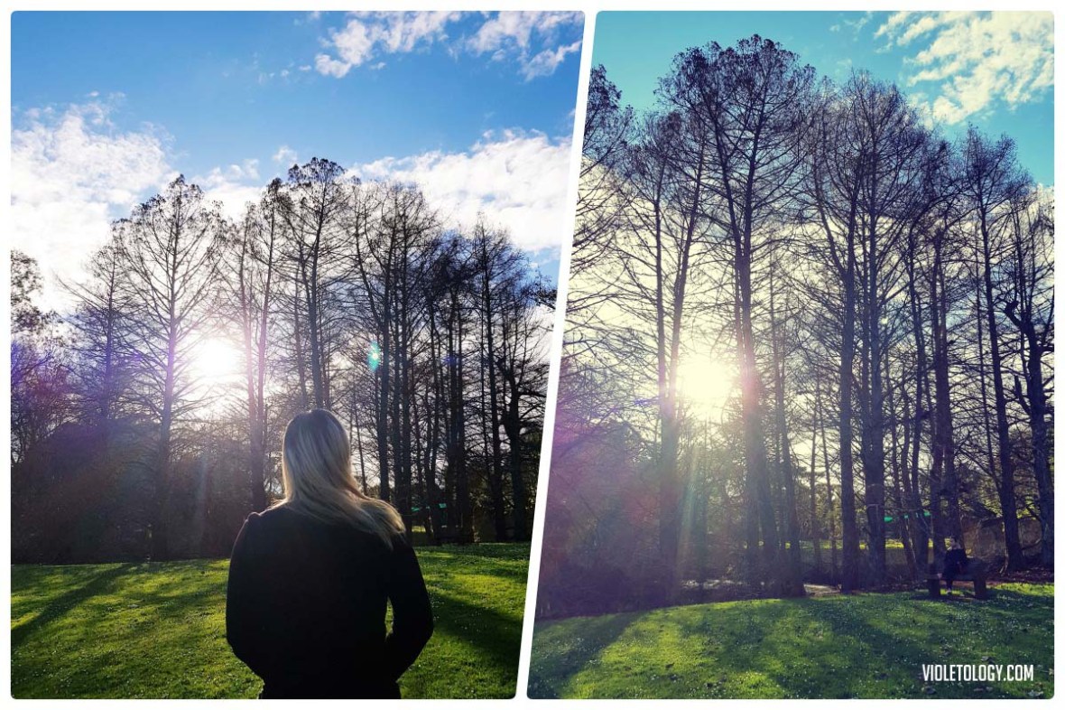 Western Springs Lakeside Park