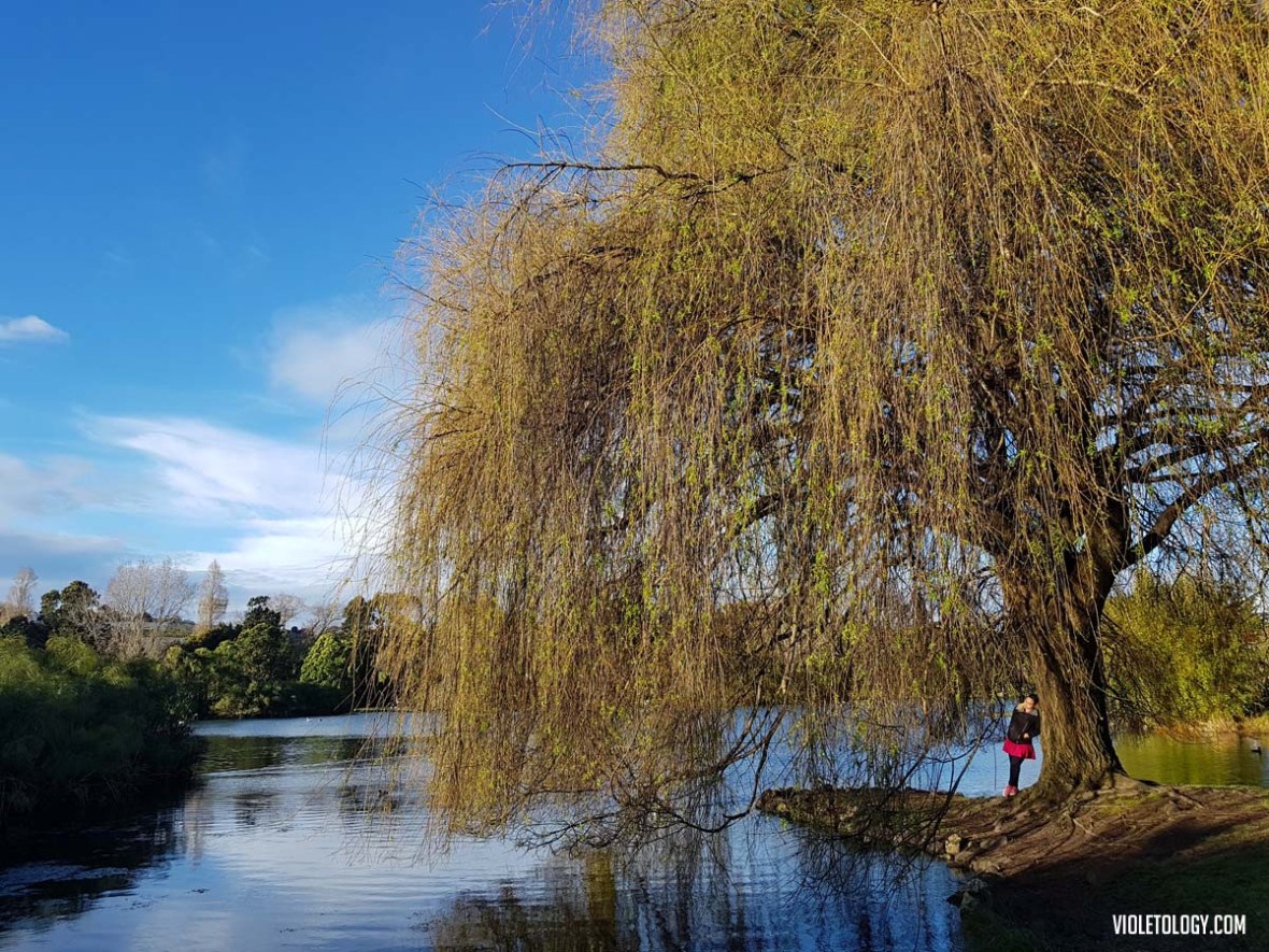 Western Springs Lakeside Park