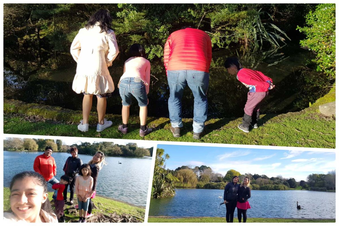 Western Springs Lakeside Park