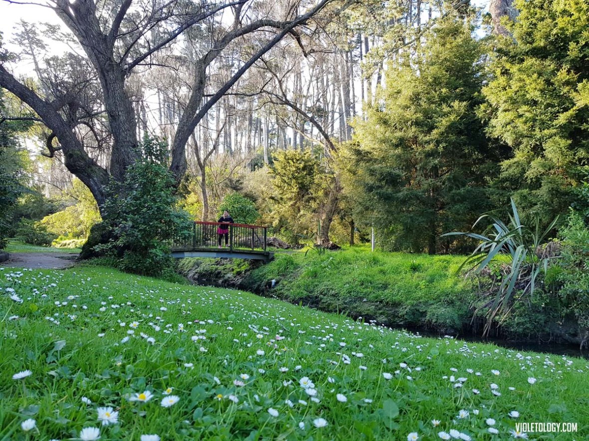 Western Springs Lakeside Park