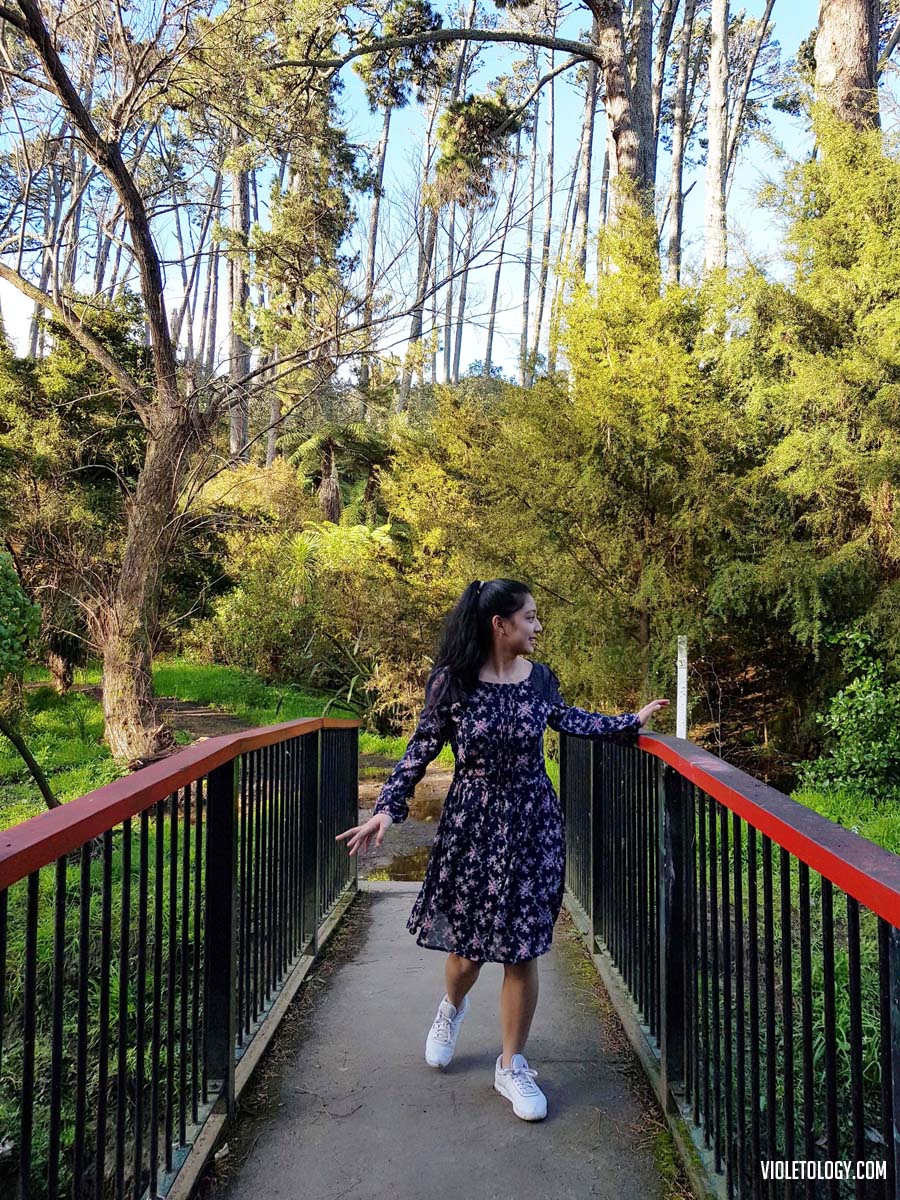 Western Springs Lakeside Park