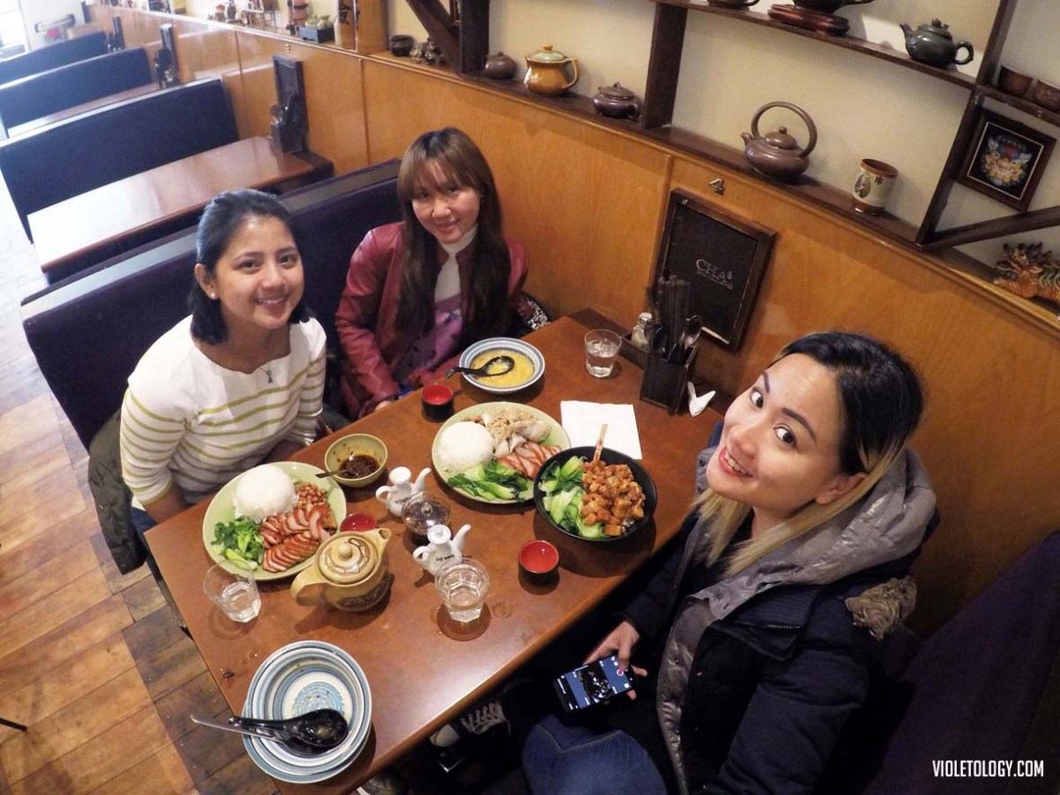 flight auckland to wellington