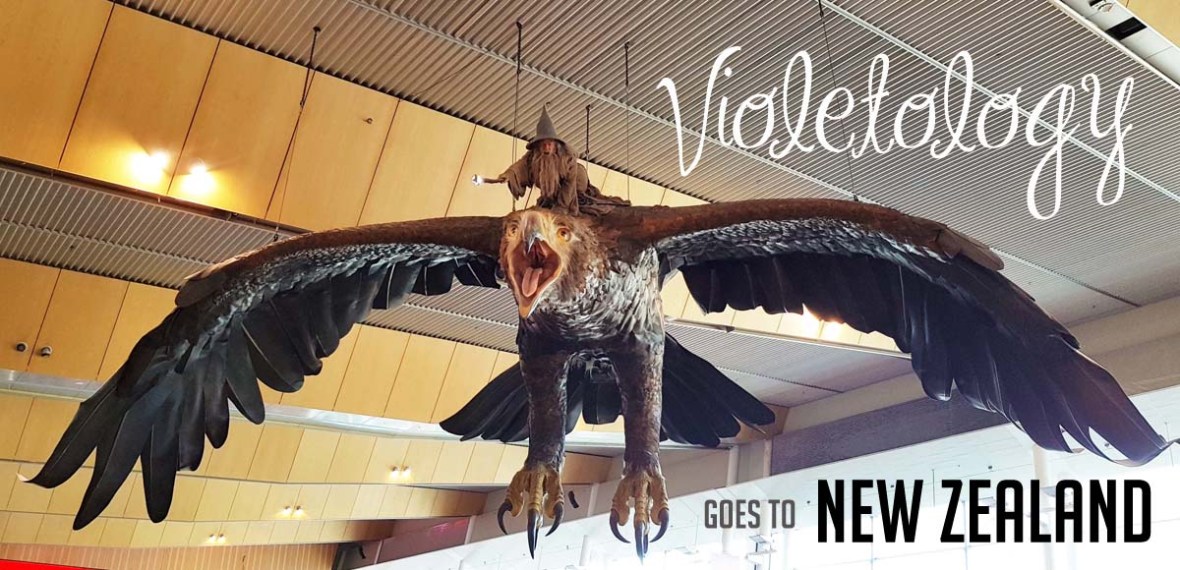 flight auckland to wellington