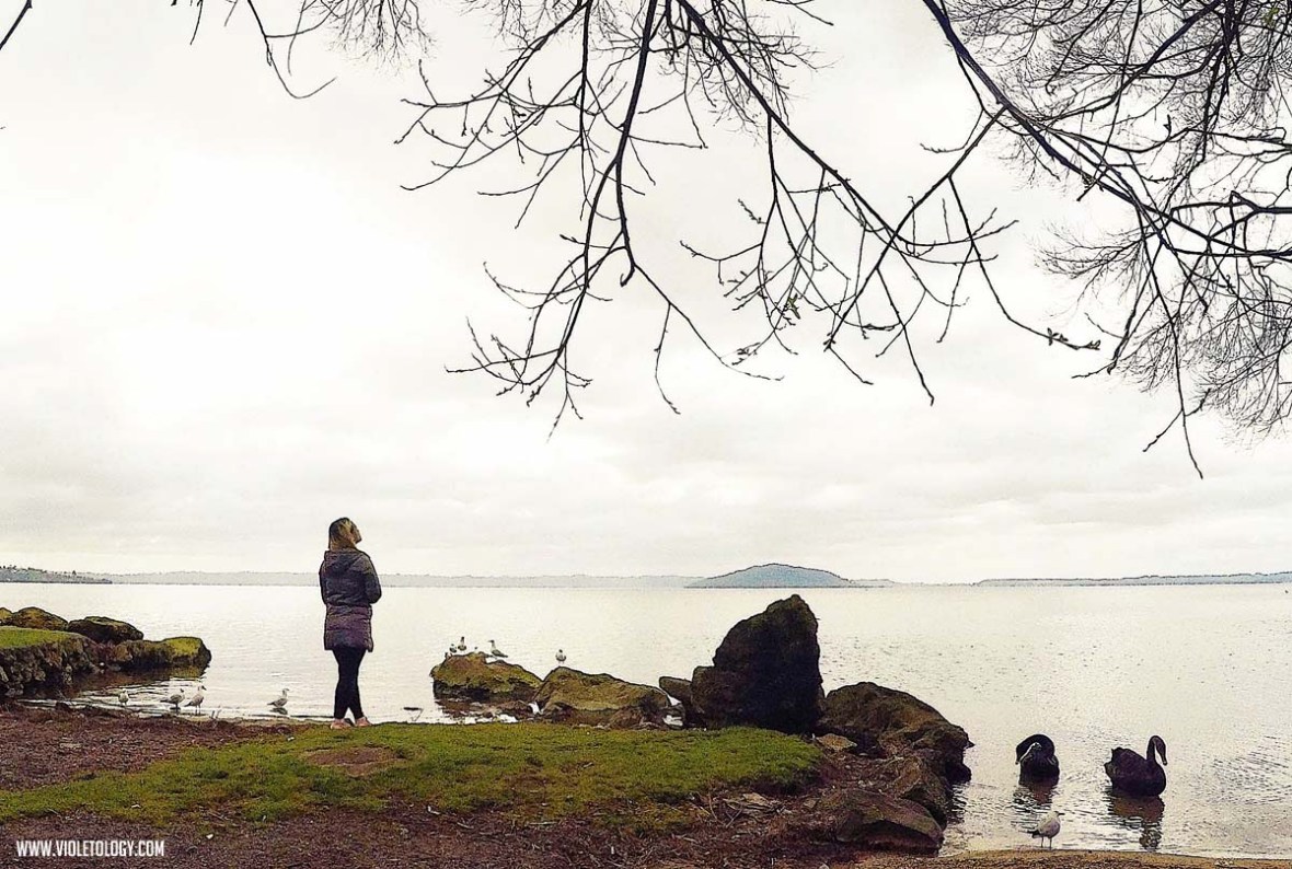 Rotorua Lakefront