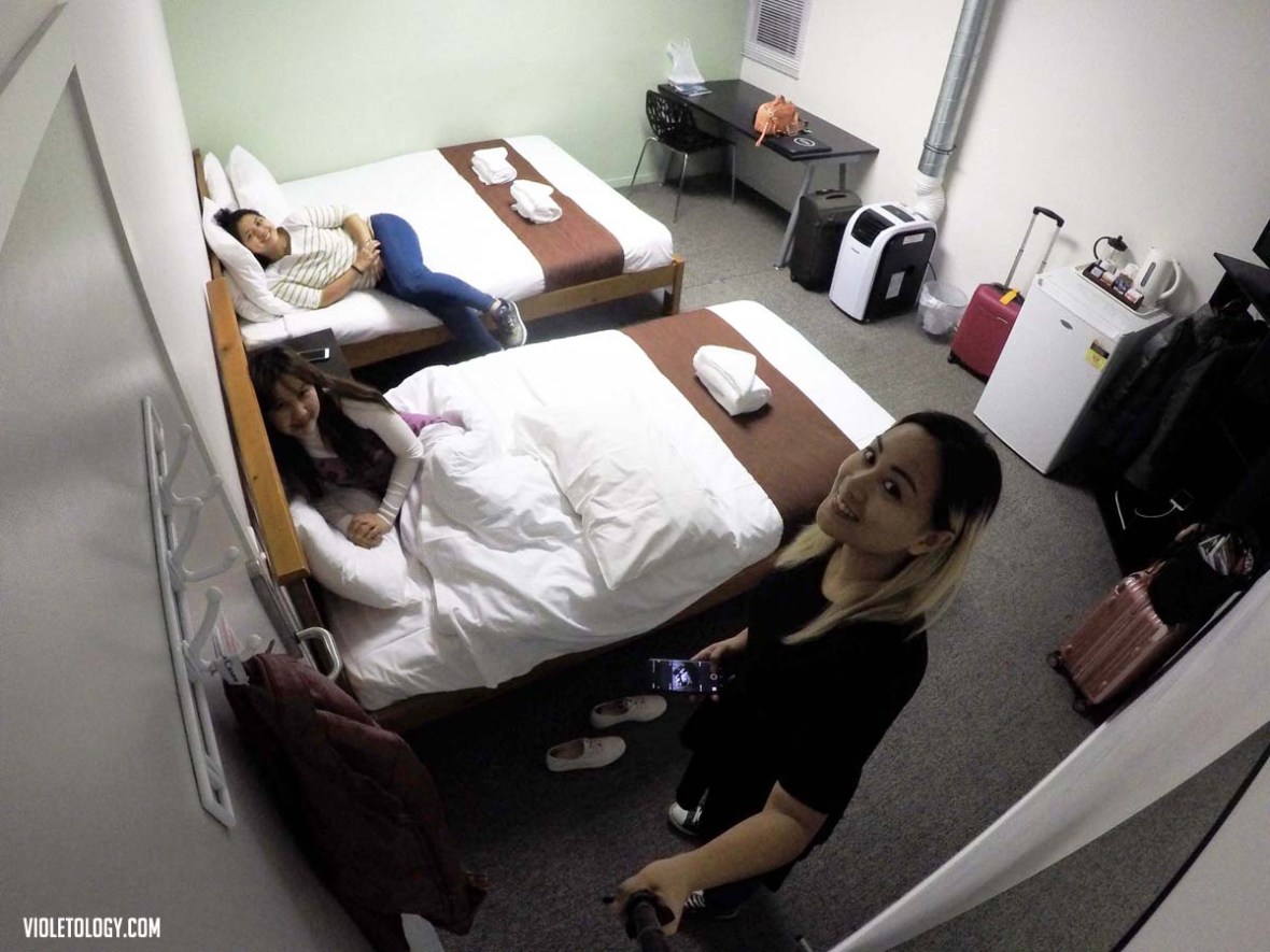 the setup on dixon wellington