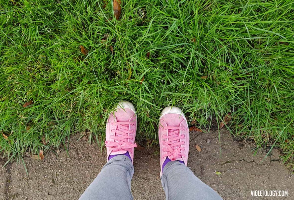 walking-in-new-zealand