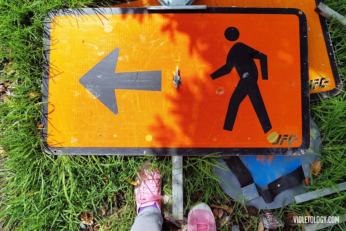 walking-in-new-zealand