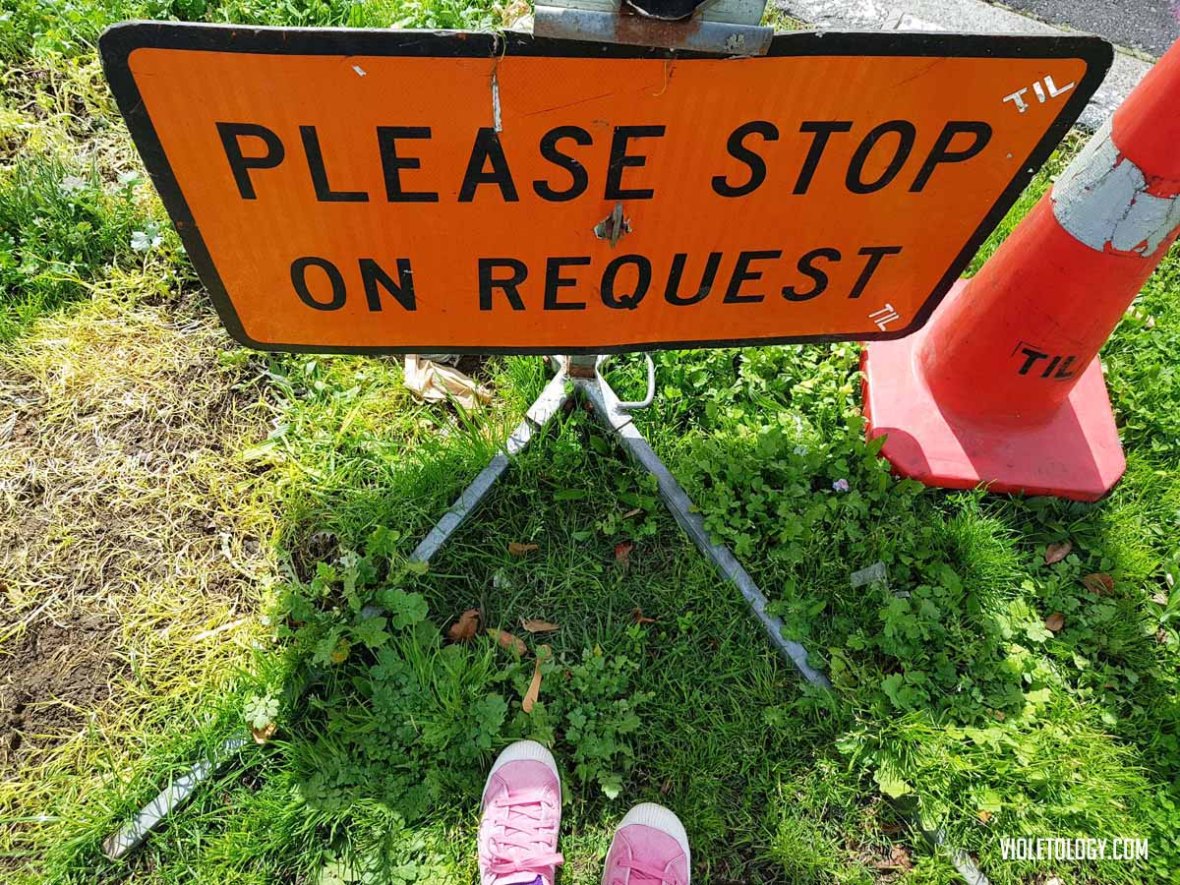 walking-in-new-zealand