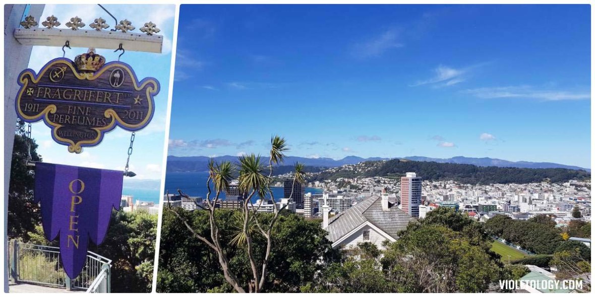 wellington cable car