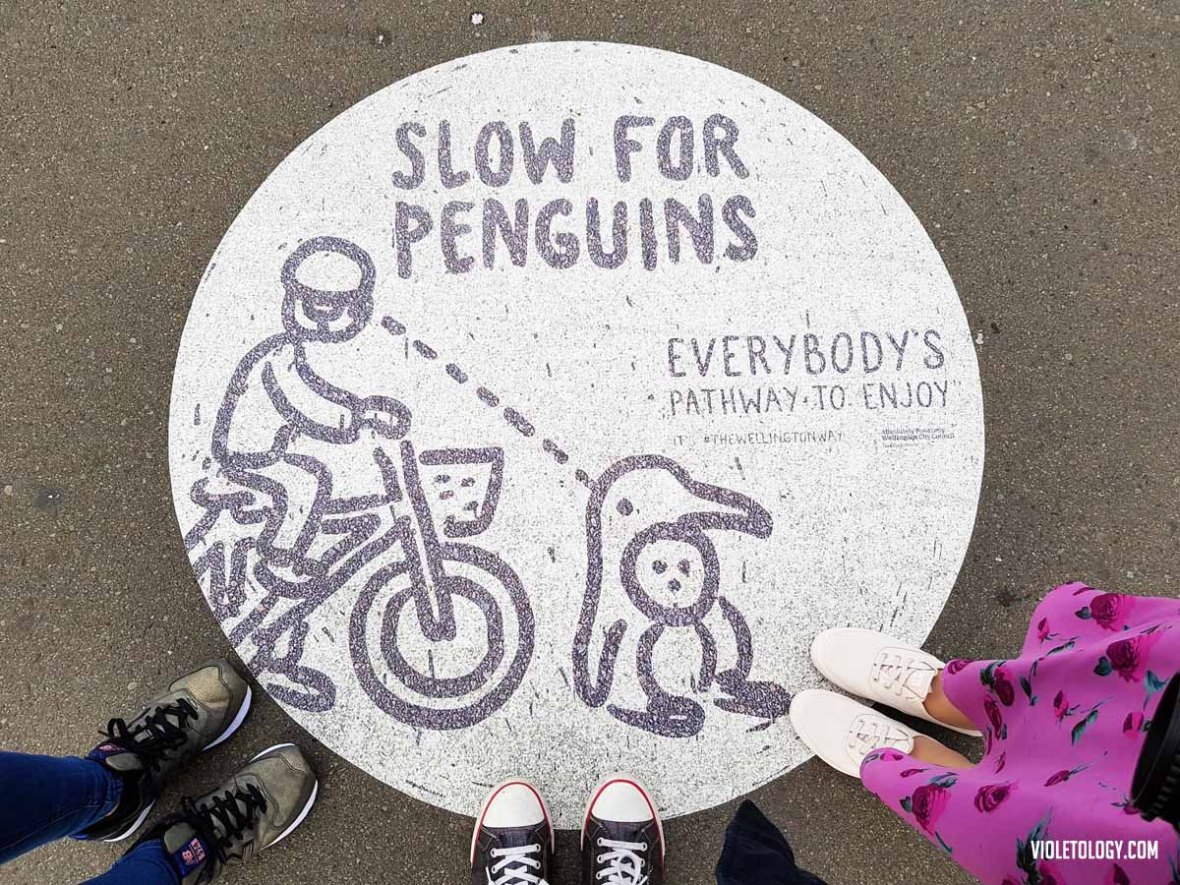 wellington waterfront