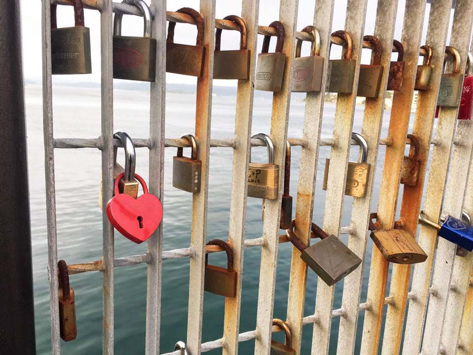 wellington waterfront