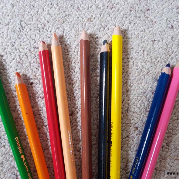 new zealand auckland crayon