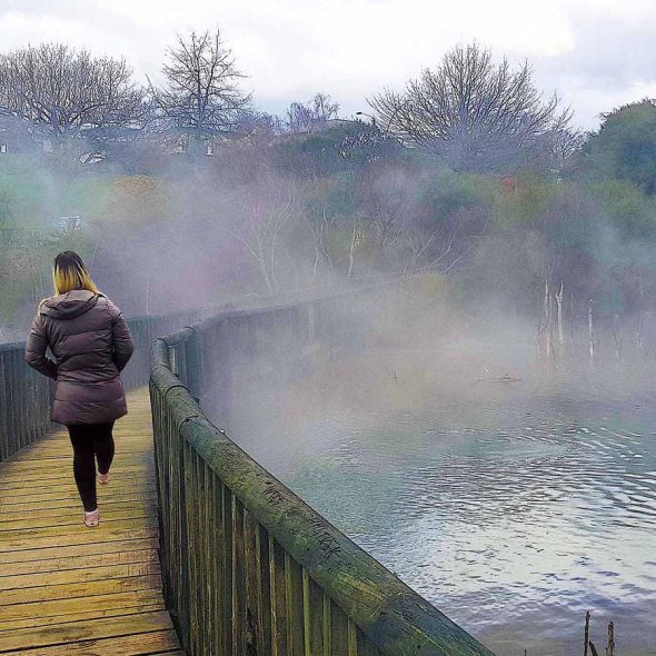 rotorua kuirau park