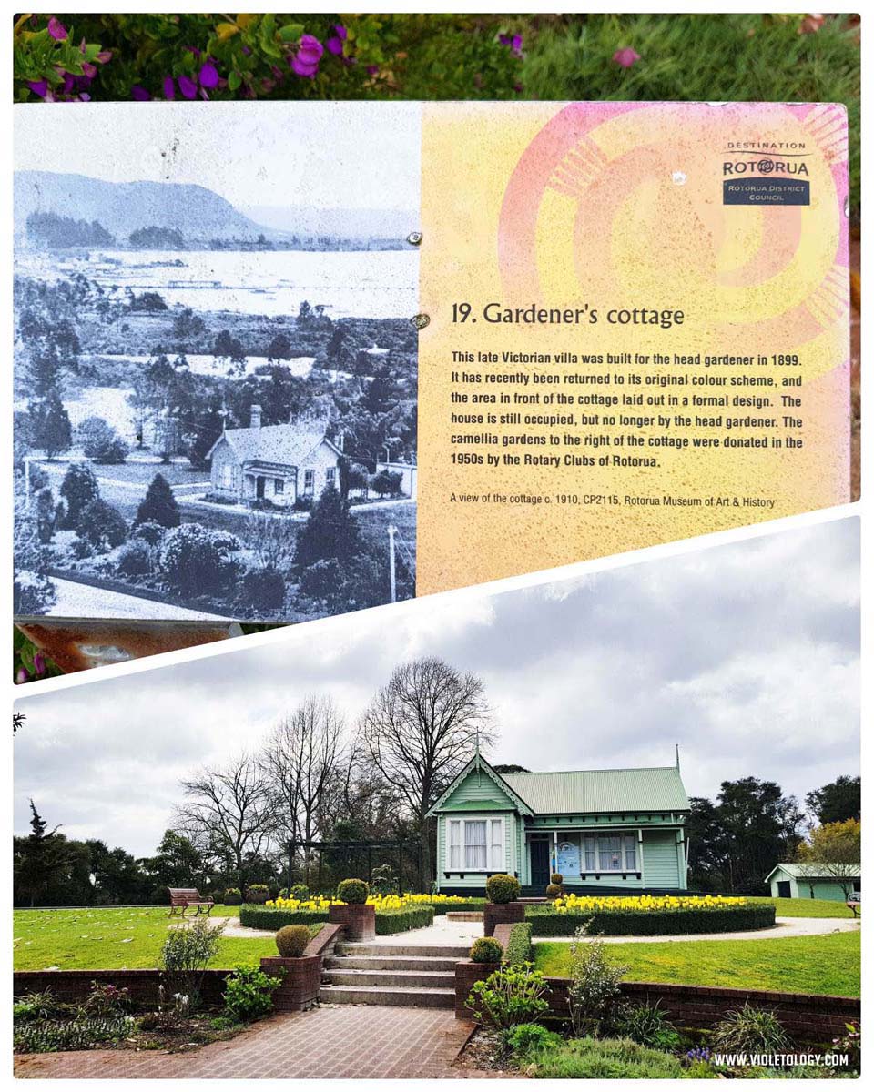 rotorua museum