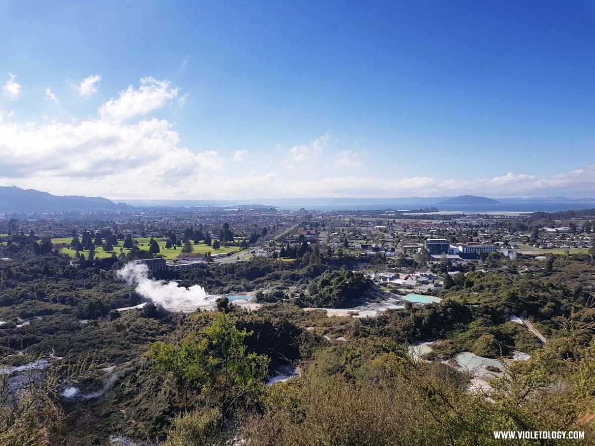 Rotorua The Redwoods Whakarewarewa Forest