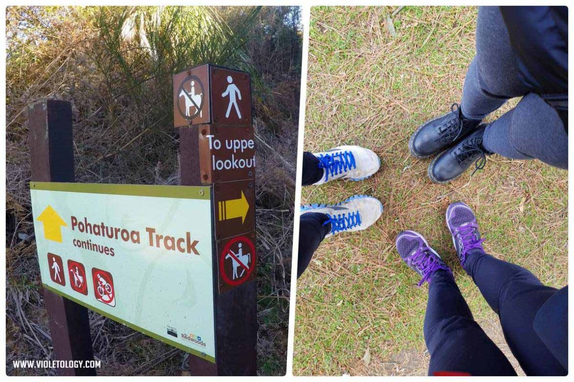 Rotorua The Redwoods Whakarewarewa Forest