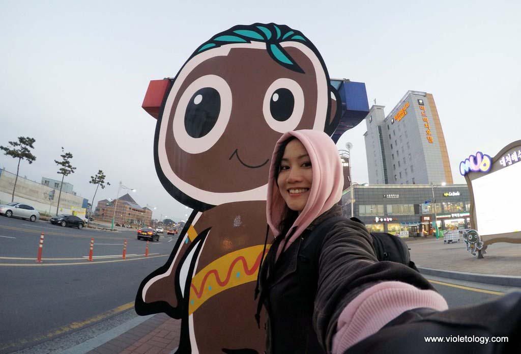 paragliding in korea