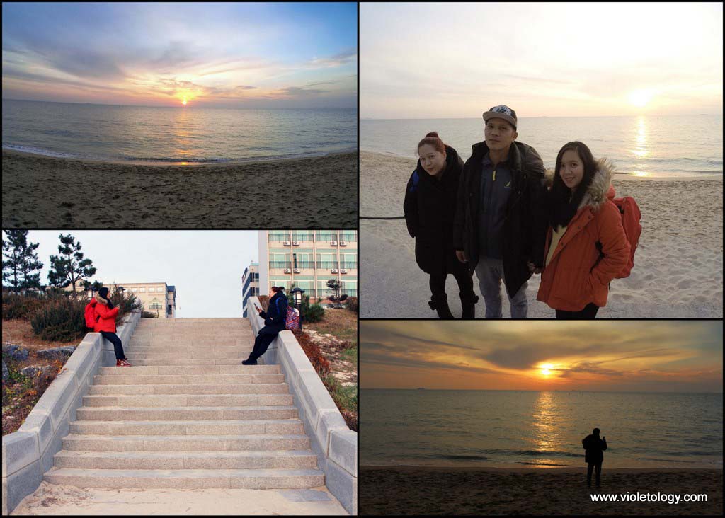 paragliding in korea