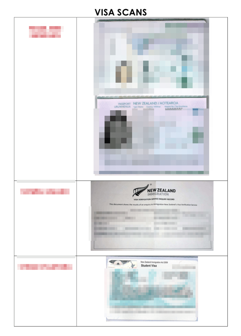 new zealand visa application