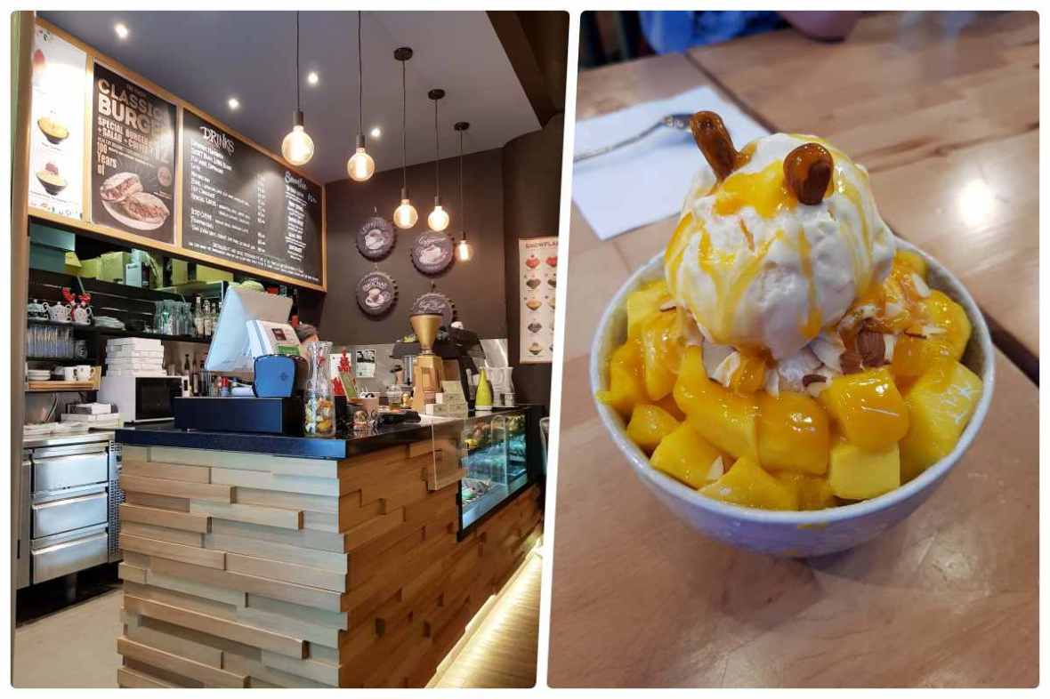 skids staff new zealand