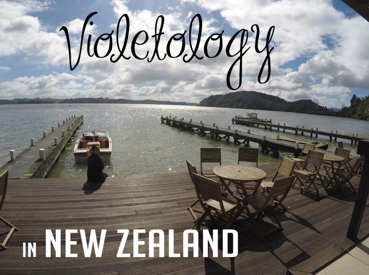 lake rotoiti hot pools