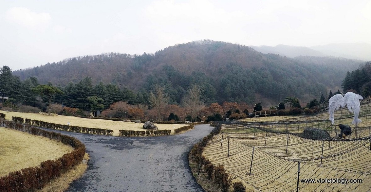 garden of morning calm road to heaven