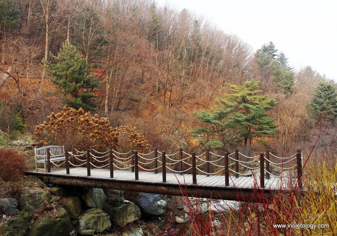 garden of morning calm