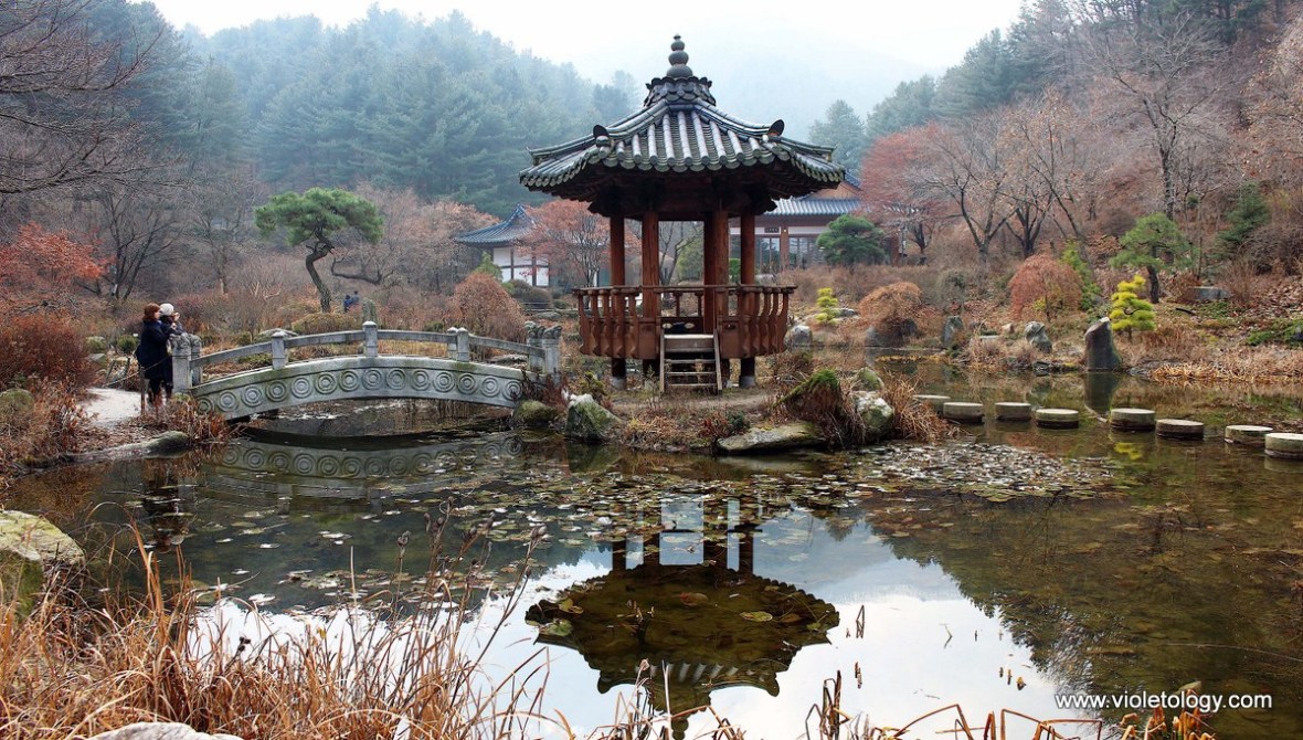 the garden of morning calm seoul