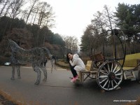 garden of morning calm road to heaven