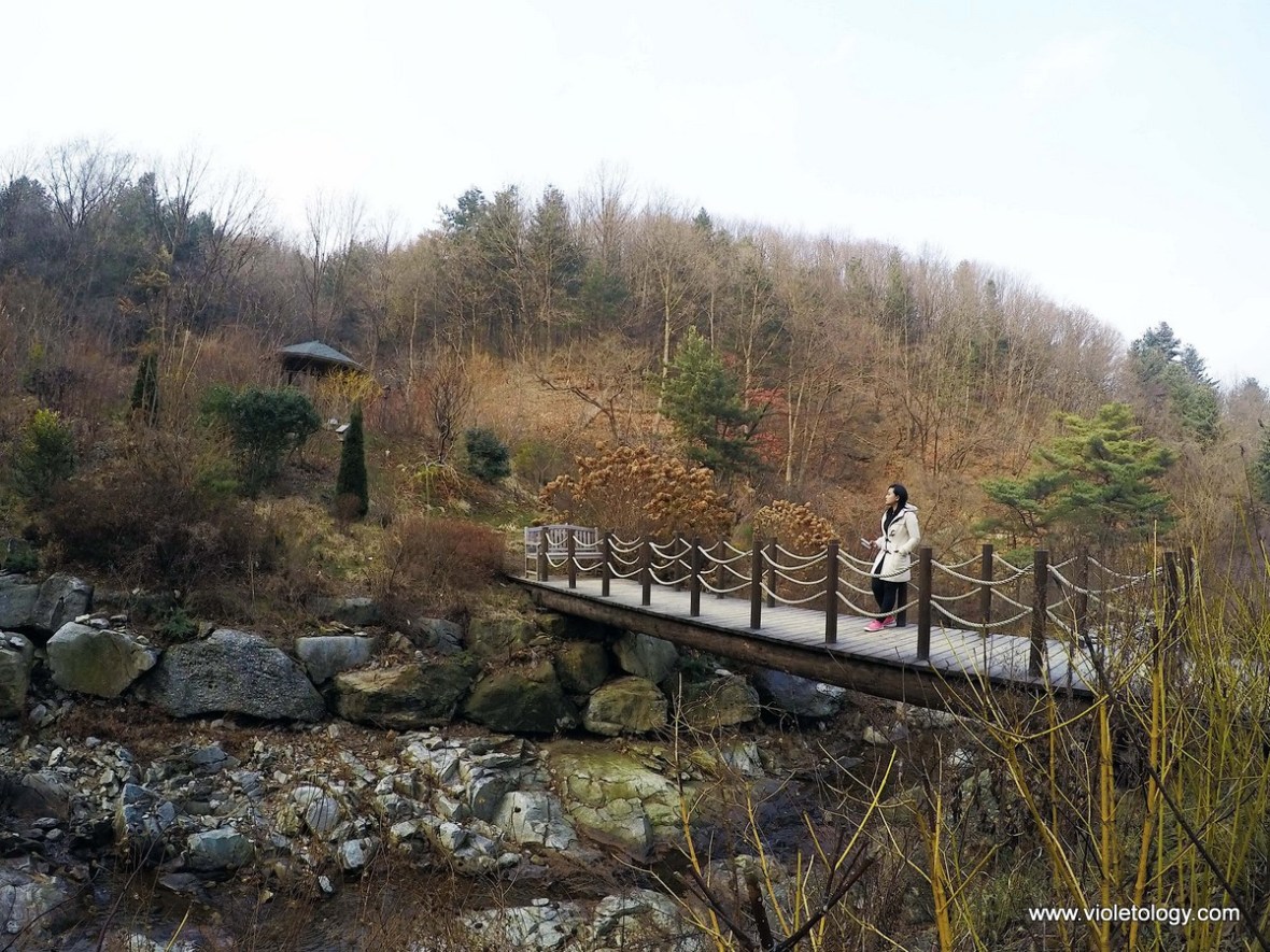 garden of morning calm