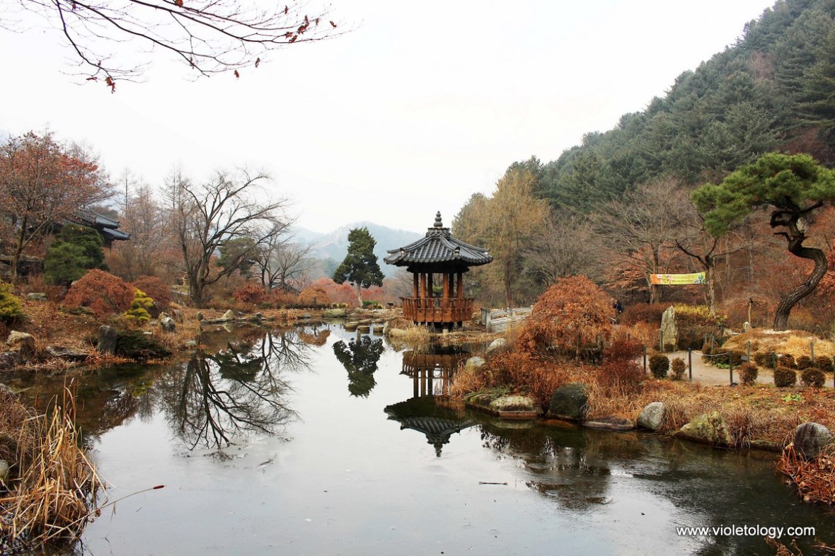 the garden of morning calm seoul