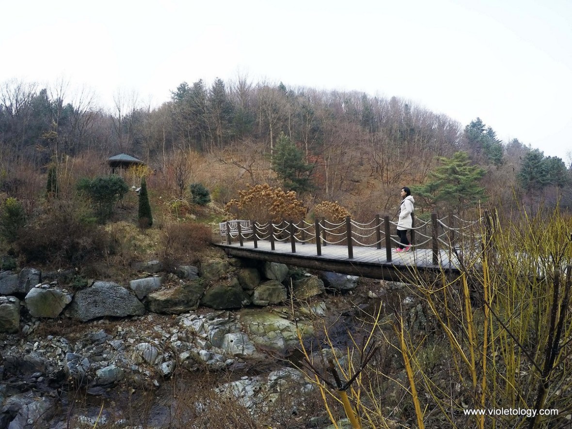 garden of morning calm